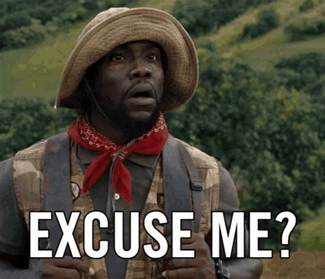 excuse me gif|funny excuse me sir.